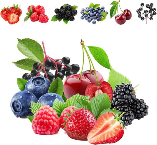 1100pcs Mixed Fruit Seeds Berry Seeds for Planting